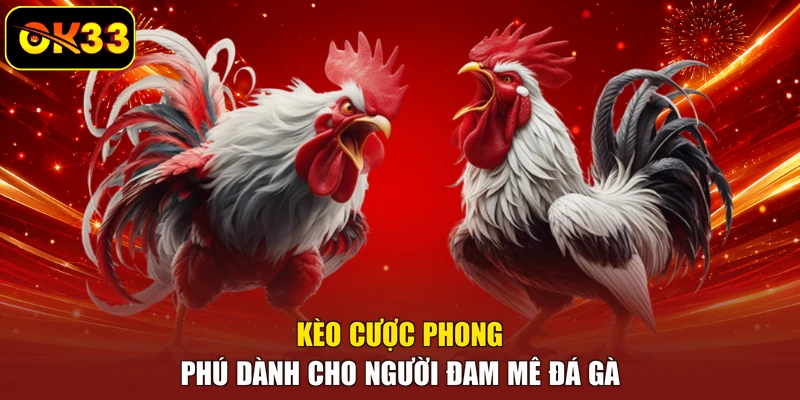 Kèo cược phong phú dành cho người đam mê đá gà